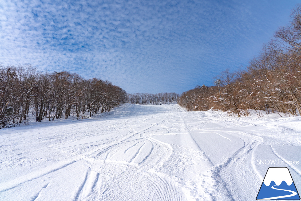 札幌藻岩山スキー場｜ふわっふわの粉雪シーズン到来！思いっきり多彩なコースを楽しみましょう！